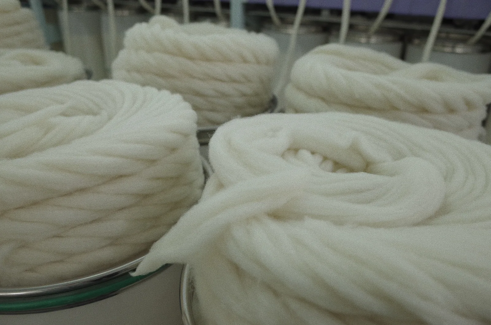 Prepared white wool fibre in spinning cans inside the Fred Textile mill