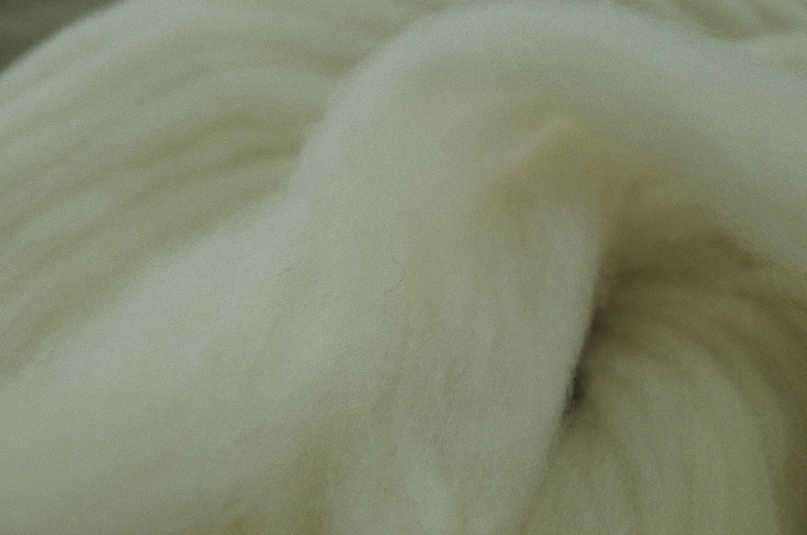 Close view of a soft raised woolen fabric surface